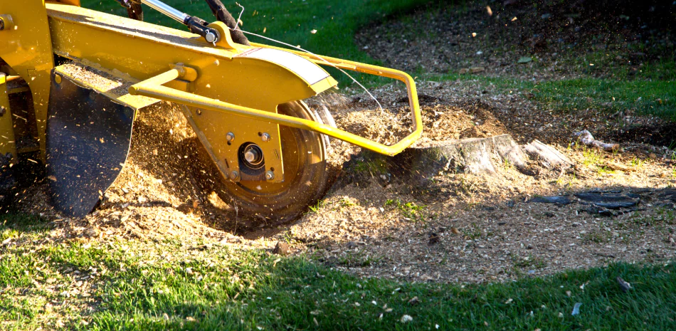 Stump Grinding & Removal